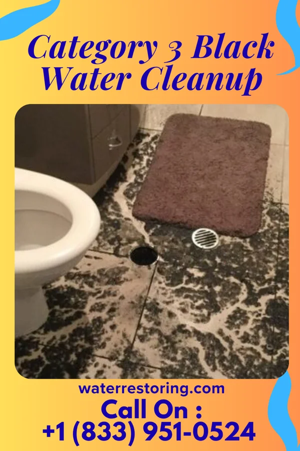 Category 3 Black Water Cleanup in Mason, WI